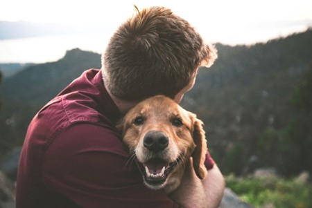 How to Include a Pet Trust in Your Estate Plan